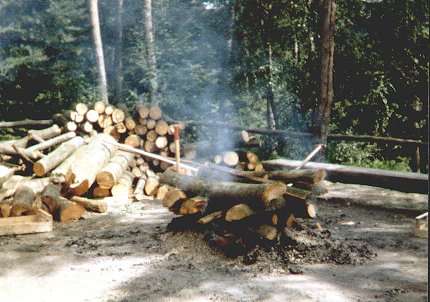 Hier war wohl frische Buche gnstig zu bekommen...